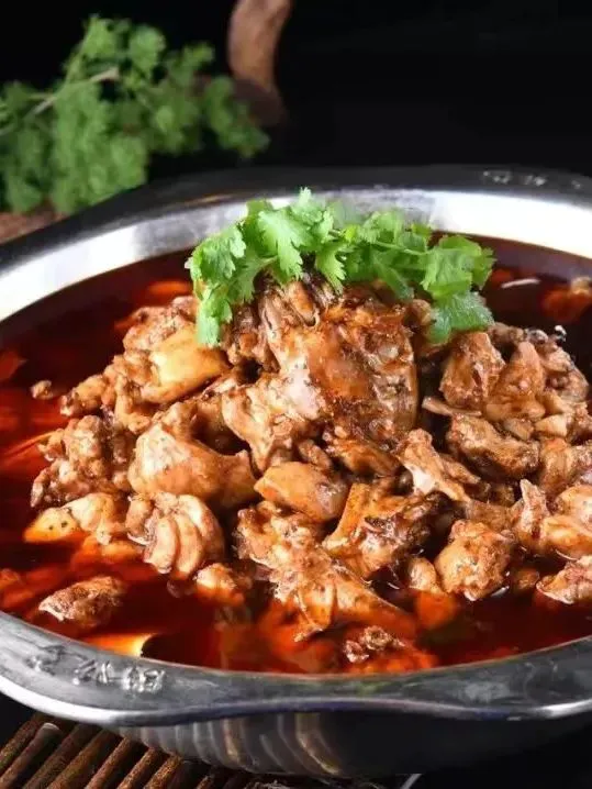篮球训练计划表控球怎么写_1